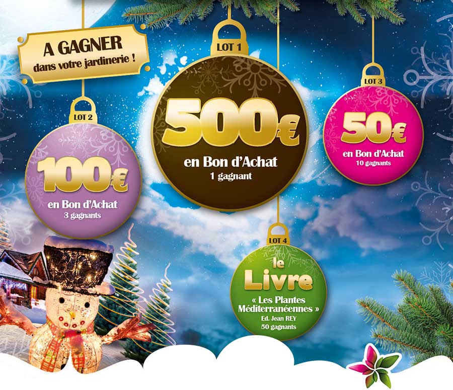 Grand jeu de Noel